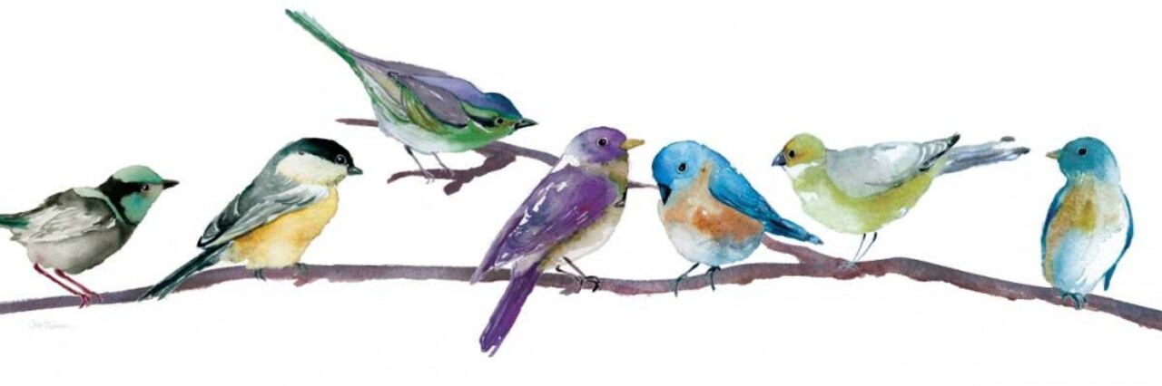 Colorful Spot Poster Print by Carol Robinson - Item # VARPDX17193